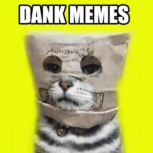 Free play online Dank Memes APK