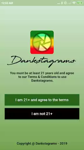 Play Dankstagrams  and enjoy Dankstagrams with UptoPlay