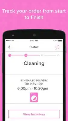 Play Dapper Dame Delivery