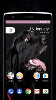 Play Dark Black Wallpapers HD