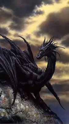 Play dark dragon wallpapers