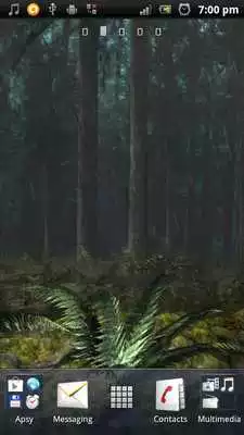 Play Dark Forest 3D Live Wallpaper