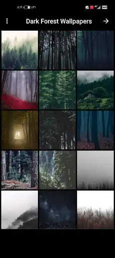 Play Dark Forest Wallpapers as an online game Dark Forest Wallpapers with UptoPlay