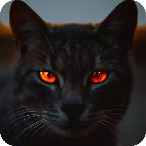 Play Dark Mobile Wallpaper APK