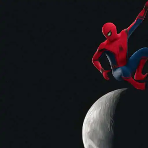 Play Dark Spider Wallpaper APK Play Dark Spider Wallpaper APK