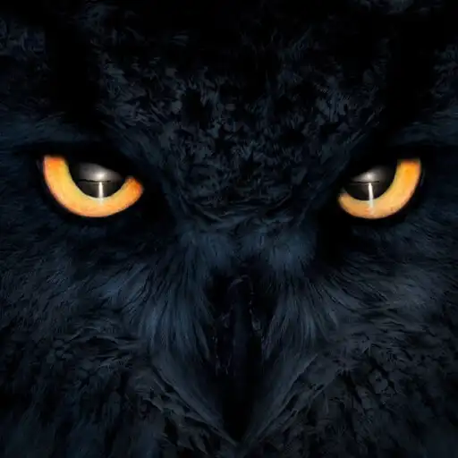 Play Dark Wallpapers in HD, 4K APK