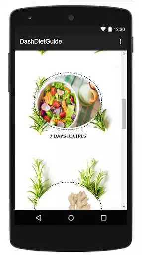 Play DASH DIET GUIDE  and enjoy DASH DIET GUIDE with UptoPlay