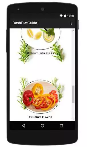 Play DASH DIET GUIDE as an online game DASH DIET GUIDE with UptoPlay