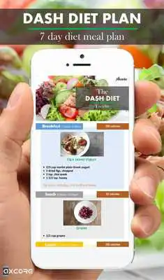 Play DASH Diet Play DASH Diet