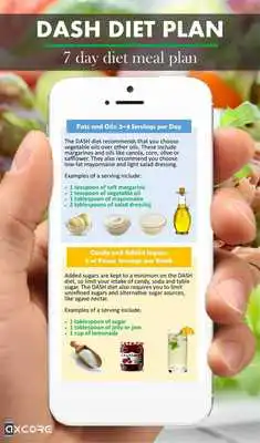 Play DASH Diet Play DASH Diet