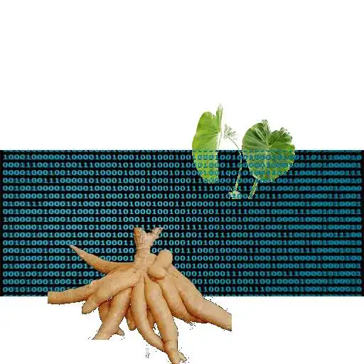 Free play online Data Collector APK