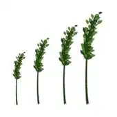 Free play online DataUsageCat_Android APK