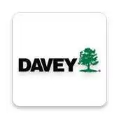 Free play online Davey Mobile APK