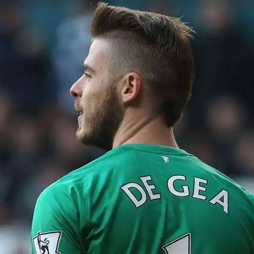 Free play online David de Gea Wallpapers APK Free play online David de Gea Wallpapers APK