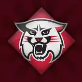 Free play online Davidson Wildcats APK Free play online Davidson Wildcats APK