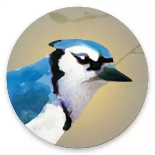 Play Dawn Chorus APK