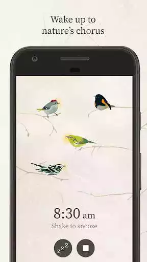 Play Dawn Chorus  and enjoy Dawn Chorus with UptoPlay