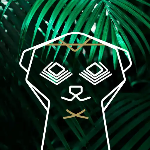 Play DayFees APK Play DayFees APK
