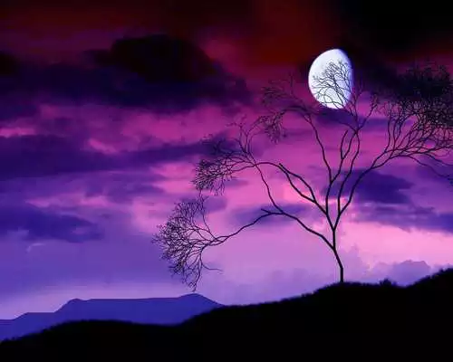 Play Day Night Live Theme Wallpaper