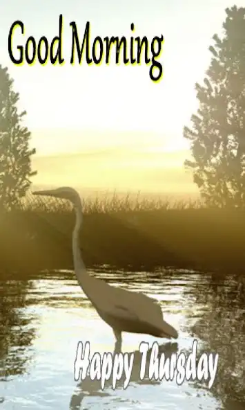 Play Days Messages  and enjoy Days Messages with UptoPlay