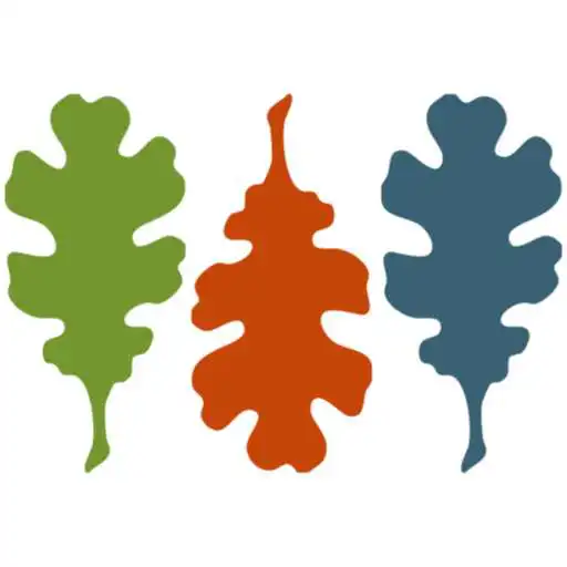 Play DaySpring Connect APK