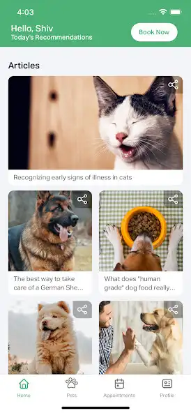 Play DCC PetConnect as an online game DCC PetConnect with UptoPlay
