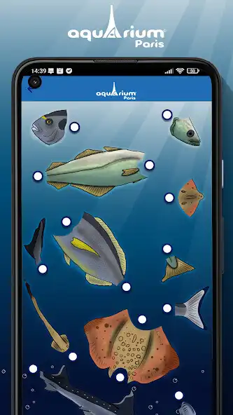 Play Découverte Aquarium de Paris as an online game Découverte Aquarium de Paris with UptoPlay