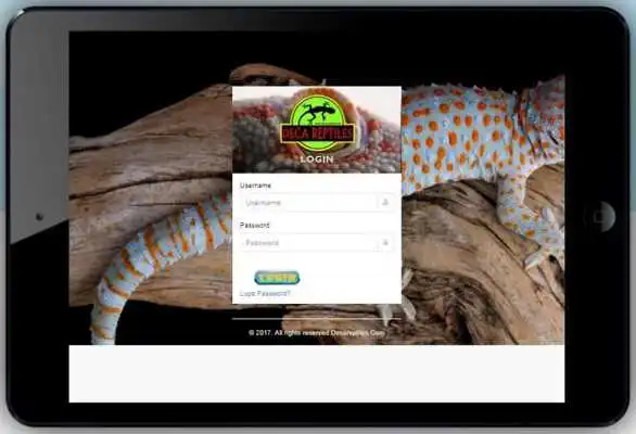 Play DECA REPTILES
