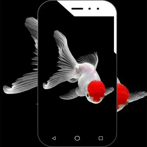 Play Decorative Fish Wallpaper  and enjoy Decorative Fish Wallpaper with UptoPlay