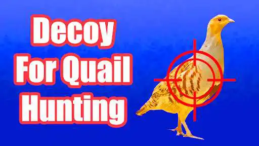 Play APK Decoys For Quail For Hunting  and enjoy Decoys For Quail For Hunting with UptoPlay org.fivechannel.manok_perepel