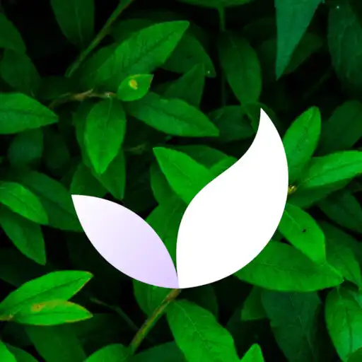 Play Deep Meditate: Relax  Sleep APK