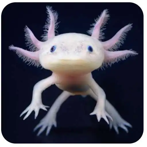Run free android online Deep Sea Creatures APK