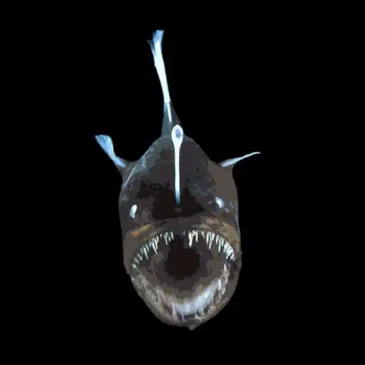 Play Deep Sea ID APK Play Deep Sea ID APK