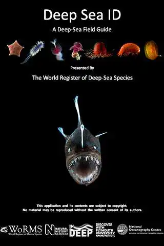 Play Deep Sea ID  and enjoy Deep Sea ID with UptoPlay