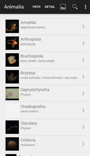 Play Deep Sea ID as an online game Deep Sea ID with UptoPlay