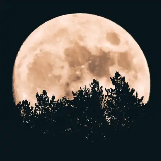 Play Deep Sleep Guided Meditation APK Play Deep Sleep Guided Meditation APK