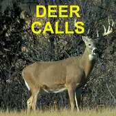 Free play online Deer Calls for Deer Hunting APK Free play online Deer Calls for Deer Hunting APK