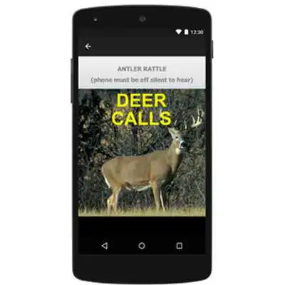 Play Deer Calls for Deer Hunting