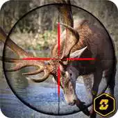 Free play online Deer Hunter APK Free play online Deer Hunter APK