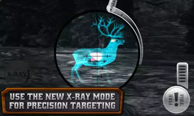 Play DEER HUNTER RELOADED