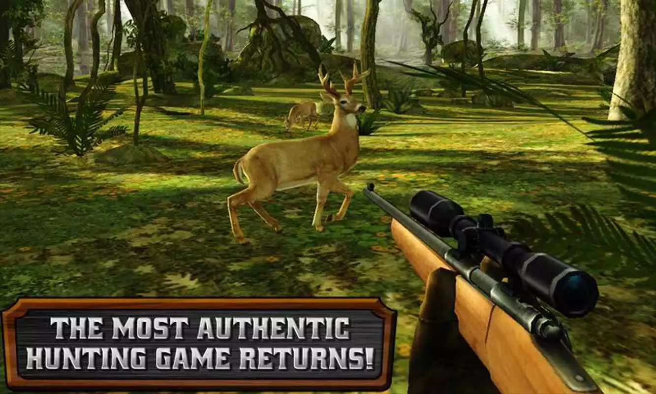 Play DEER HUNTER RELOADED