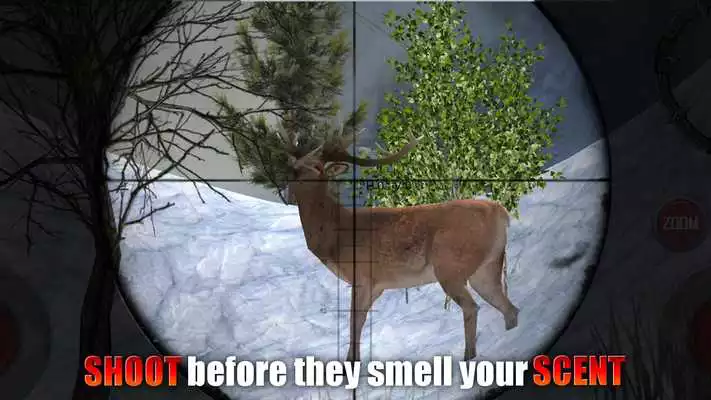 Play Deer Hunter