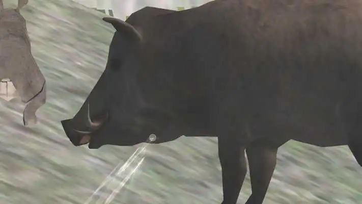 Play Deer Hunting 3D Play Deer Hunting 3D