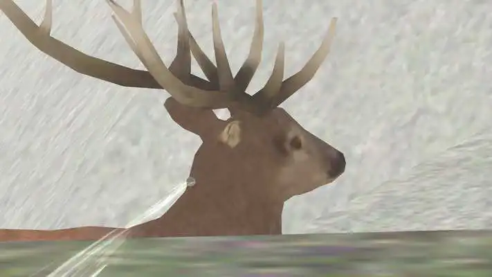 Play Deer Hunting 3D Play Deer Hunting 3D