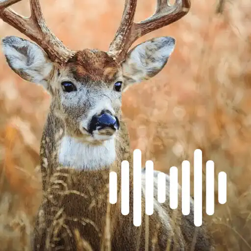 Free play online Deer Hunting Calls APK