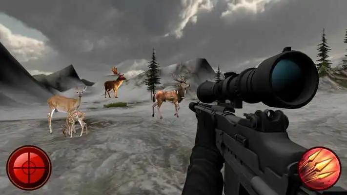 Play Deer Hunting Deluxe - Safari Wildlife Games Play Deer Hunting Deluxe - Safari Wildlife Games