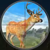 Free play online Deer Hunting Season APK Free play online Deer Hunting Season APK