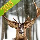 Free play online Deer Hunting Simulator APK