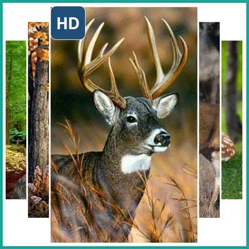 Play Deer Live Wallpaper
