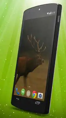 Play Deer Live Wallpaper